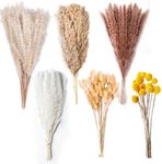 100PCS Natural Dried Pampas Grass D