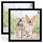 icariery Black 20x20 Picture Frame Set of 2, High Transparent Picture Frames for 20 x 20 Square Photo Canvas Collage Poster Certificate Wall Gallery Horizontal Vertical 20 By 20