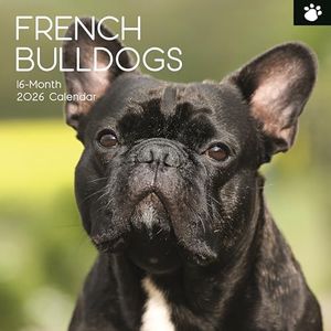 The Gifted Stationary 2026 Square Wall Calendar, French Bulldogs, 16-Month Paw Prints Theme Hanging Calendar with 180 Reminder Stickers, Month Planner for Home, or Creative Spaces, 12x12 In