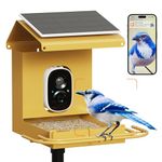 Bilantan BirdHi Mag- Bird Feeder with Camera Solar Powered, Lifetime Free AI Metal Smart Bird Feeder Camera with Magnetic Design, Easy Assembly, Anti-Squirrel Gnawing, Ultimate Gift for Bird Lovers