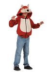 Rg Costumes Costumes For Boys