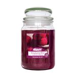 AIRPURE Large Candle Scented, Raspberry Bliss Fragrance, 18oz Jar, 120 Hour Ornamental Candles, Fill The Room with a Warm and Homey Fragrance, for The Bedroom, Bathroom, Family Room or Office