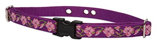 LupinePet Originals 3/4" Rose Garden 12-17" Containment Collar Strap for Small to Medium Dogs