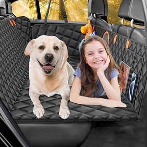 Back Seat 