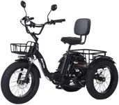 NARRAK Electric Tricycle for Adults