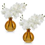 Hollyone 2pcs Artificial White Orchid Flower in Vase, Small Fake Orchid Plant with Glass Vase, Decorative Faux Phalaenopsis for Wedding, Centerpiece, Home Decor, Living Room, Bathroom Decorations