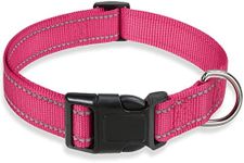 Reflective Dog Collar with Buckle A