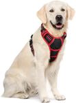rabbitgoo Dog Harness, No-Pull Pet