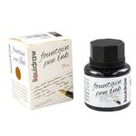 Liquidraw Fountain Pen Ink Bottles 10 Assorted Colours 35ml Inks Suitable for Calligraphy Ink Dip Pen Ink Available Black, Blue, Red, Green, Brown, Violet Purple, Yellow Etc (Black)