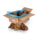 Extra Large Pigs Ears For Dogs 50 PACK - Delicious Tasting Naturally Air-Dried - High in Protein Aids Muscle and Tissue Repair - Contains Collagen for Healthy Coats.