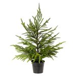 WBHome 2ft Tabletop Artificial Norfolk Pine Tree - 24" Faux Tree Potted Green for Front Porch Christmas Indoor Outdoor Decor, Ornament Decorations Inculded