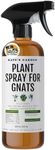 Plant Spray Bottle for Insects (16oz) by Kate's Garden. Garden Plant Care Peppermint Oil Spray for Bugs. Fungus Gnat Killer for Indoor Plants & Outdoors. Insecticide for Fruit Flies, Spider Mites.