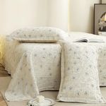 Story@Home King Size Bedsheet | Cloud Cotton Flatsheet King Size with Two Pillow Covers| 300 TC | Super Soft Bed Sheet for King Size Bed | Floral Design (270 x 250 cm, Off White & Grey)