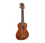 Beginner Ukuleles