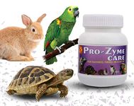 Pet Care International (PCI) Pro-Zyme Care || Probiotics with Digestive Enzymes for Healthy Digestive System || Designed for Reptiles, Hamster, Marmoset, Iguana,Gerbil (250 Grm, Pro Zyme)