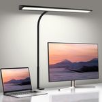 LED Desk Lamp for Office Home, Eye-Caring Desk Light with Clamp, 10W Desk Lamp with Stepless Dimming Adjustable Flexible Gooseneck for Reading, Study