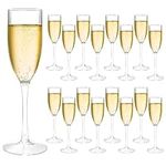 Frcctre 16 Pack Acrylic Champagne F