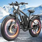6000W Peak Dual Motor Ebike for Adu