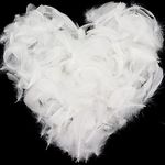Wendergo 700 Pieces White Feathers for Crafting Natural Goose Feathers Fluffy & Soft Craft Feathers for DIY Dream Catcher Angel Wings Home Wedding Party Festival Decoration, 8-12 cm