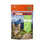 Feline Natural Grain-Free Freeze Dr