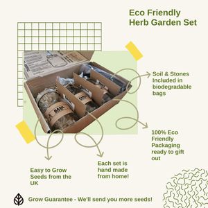 Indoor Herb Garden Jar Kit – 3-Pack Grow Set