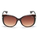 IDEE 100% UV Protected Sunglasses for Women | Size- Large | Shape- Square | Model- IDS2883C1SG (Shiny Brown Demi-Light Gold)