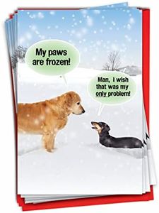 NobleWorks Pack of 12 Funny Christmas Greeting Cards with Envelopes, Humor Holiday for Men and Women (1 Design, 12 Cards) - My Paws Are Frozen B5953
