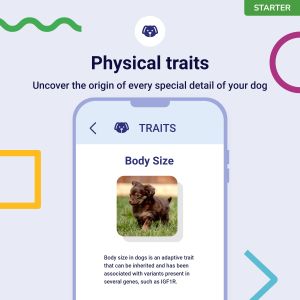 Koko Genetics Dog DNA Test Kit – Breed & Health Screening