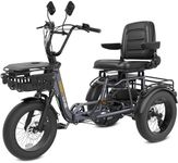 Breeze Pro Folding Electric Tricycl