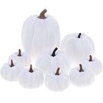 Yatinkim 9Pcs White Faux Velvet Pumpkins Halloween Fabric Pumpkin Decorations Handmade Fall Mantel Décor Table Centerpiece Thanksgiving Autumn Harvest