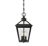 Savoy House 5-146-BK Ellijay 9" Steel Hanging Lantern in Black