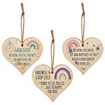 The Plum Penguin Set of 3 Hanging Decorations Wooden Hearts Leaving Card Gift Work Colleague | Farewell & Good Luck | Happiness & Joy New Chapter