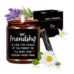 DAMCONME Funny Gifts for Women,Birthday Candle Gifts for Her,Him,Friendship Gifts for Candle,Funny Gifts for Friends - Candles Scented Gift (Friendship)