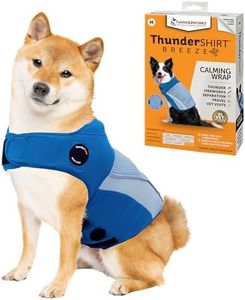 ThunderShi