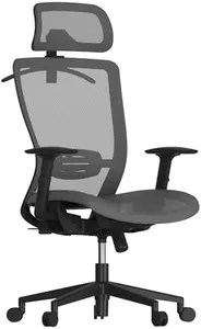 FLEXISPOT OC3B Executive Ergonomic Office Chair Height Adjustable Mesh Computer Chair with Adjustable Headrest Armrest Lumbar Support Home Office Desk Chair Gray
