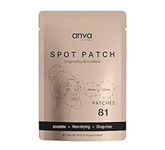 Invisible Spot Patches with Salicylic Acid - Hydrocolloid Spot Cover, Korean Spot Stickers for Face and Skin - 2 Sizes (10mm & 12mm) 81 Count - 5 sheets