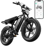 TST Electric Bike for Adults 1500W 