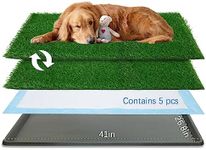 Oiyeefo Dog Grass pad with Tray,41”