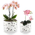 EFISPSS 5/6inch Orchid Pot with Drainage Hole Large Orchid Planter pots(White)