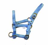 Rhinegold Nylon Foal Headcollar - Baby blue