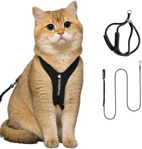 BuddyArmor Cat Harness and Leash Set, Escape Proof Y Shape Cat Harness Adjustable Anti-Choke Soft Padded Vest Harness Hands Free Cat Rope Leash and Harness Set for Kitten Cats≤22lbs (Black, M)