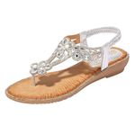 Women Platform Wedge Sandals Comfy,Summer Orthopedic Beach Comfort Embroidery Sandals,Bohemia Gladiator Athletic Outdoor Loop Flat Sandals Slides Sandals Walking Shoes(178-Silver,6)