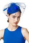 BABEYOND Bridal Wedding Fascinator Mesh Feather Fascinator Hair Clip Tea Party Fascinator Veil Crystal Wedding Veil (Blue)