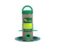 PAXI DAYA Window Bird Feeder Plastic Material Green Color Food Small and Medium Birds (Pack of 1)