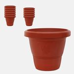 YUCCABE ITALIA SHERA SD 12 INCH Pack of 12 Pcs Plastic Flower Pot Unbreakable Round Shape Planter Plastic Gamle for Garden Seedling Indoor and Outdoor (Terracotta)