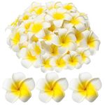 AstonAndia® Artificial Flowers for Decoration Frangipani Flower Plastic Frangipani Flowers for DIY Home Wedding Party Decoration(6cm,White 20PCS)