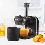 Twin Gear Masticating Juicers