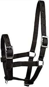 HORZE Adjustable Horse Halter for Foals, Colts, Fillies, Miniature Horses - Black - Foal