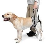 Dog Lifting Harness,Dog Hind Legs Support Strap Pet Portable Recovery Walking Training Lift Strap with Handle for Elderly Injured Amputation Disabled Dogs_M