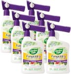 Garden Safe Brand Fungicide3 Concen